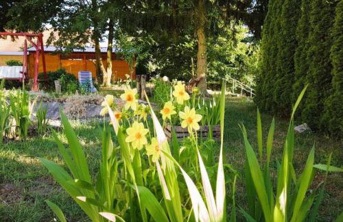 Olszyna Pod Brzozą - Foto 49