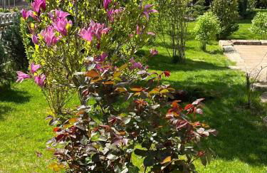 Apartment Henriette - Foto 13