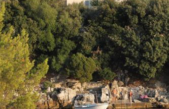 Apartments by the sea Ubli, Lastovo - 8355 - Foto 2