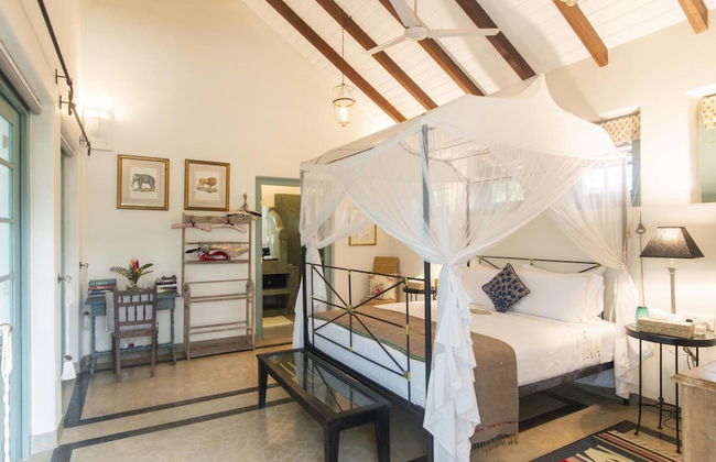 08 Acre Private Tea Estate Close To Galle - Photo 19