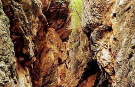 Casa Rural Lavanda con Piscina - Foto 78