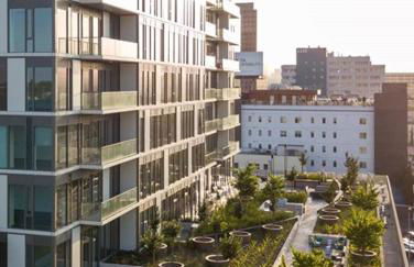 The Sky Gem - Photo 44