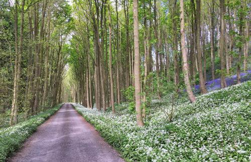 Finest Retreats - Ingleby Manor - Courtyard Cottage - Photo 10