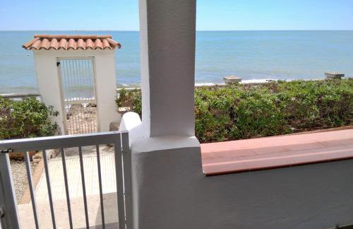 Sargantana Blava - Foto 5