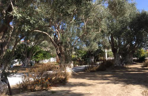 Livanina apartments - Foto 40