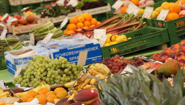 Excursión a Múnich – privada - Foto 5