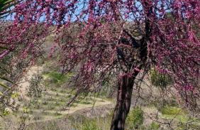 Microfattoria Lenta - Photo 33