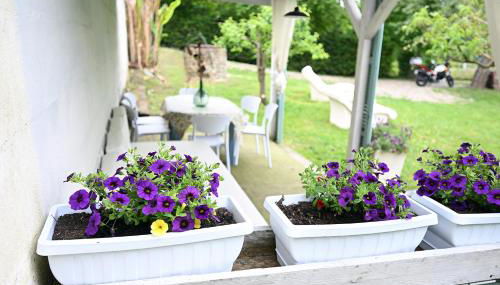 Il Giardino di Claudia Cardamomo - Foto 2, Garden