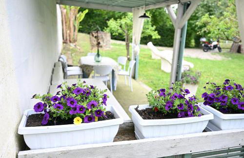 Il Giardino di Claudia Cardamomo - Foto 2