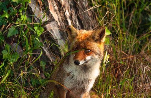 Agriturismo Al Vermigliano - Foto 80