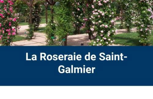 Confort moderne dans un gîte historique à Saint-Galmier - FR-1-496-276 - Foto 24