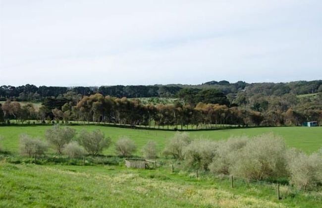 Stony Creek Cottages - Foto 8