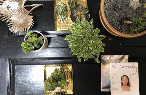 Cuarto Botánico Studio - Shared Pool - Central Island Location - 10 mins drive to Famara and La Santa - Foto 8