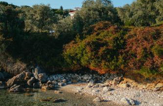 Βίλλα Φανούλα Villa Fanoula - Foto 36