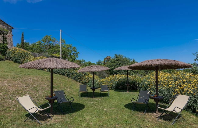 Podere San Ansano 14 2 - Foto 43