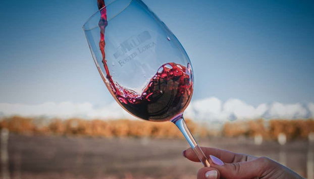 Foster Lorca wine glass