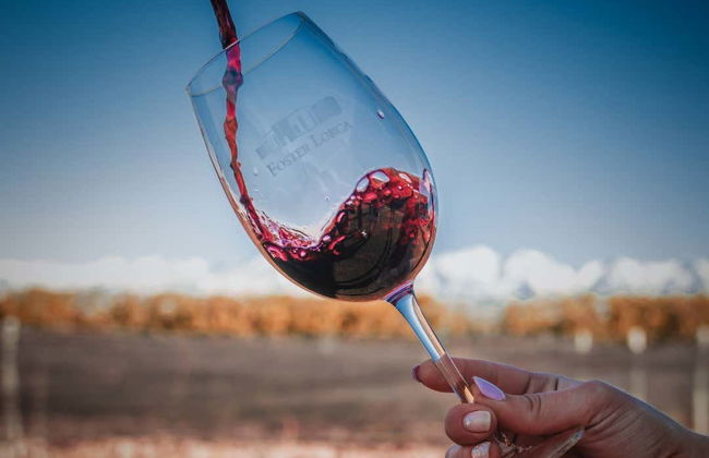 Malbec Tour of the Luján de Cuyo Wine Region - Photo 5