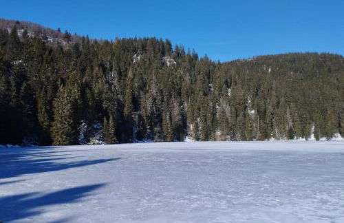 Aux balcons de la vallée - Foto 21