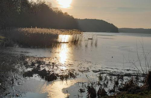 Na Starówce - Foto 19
