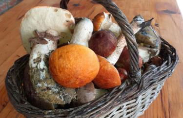 Gîte de la Maison du L.A.C - Foto 28