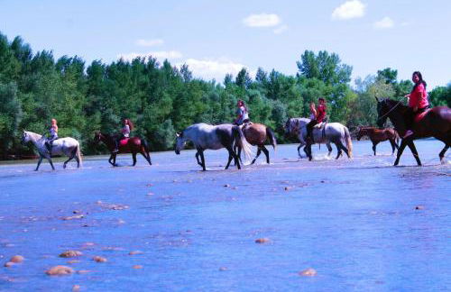 Jardines de Viana - Foto 46