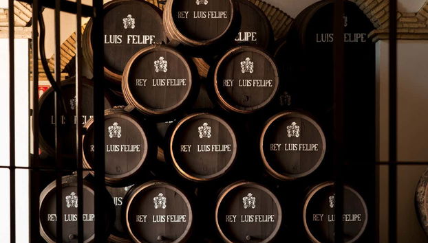 Tour in La Palma del Condado - Photo 4