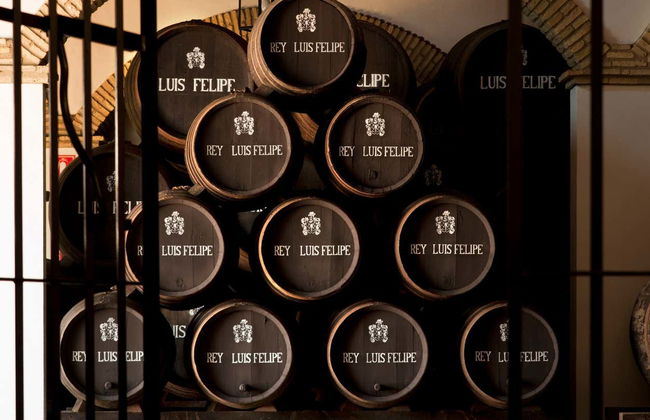 Visita alle cantine Rubio de Luis Felipe - Foto 4