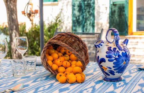 Son Fransi Alaro - Foto 34