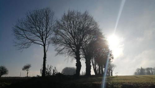 au monde mystérieux maison-canon-lan - Foto 5