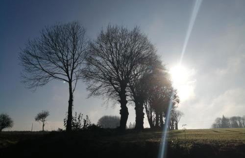 au monde mystérieux maison-canon-lan - Foto 5