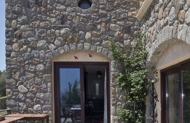 Palmiye Tepesi - Foto 44