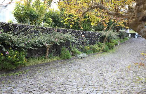 Casa Cor de Rosa - Photo 35