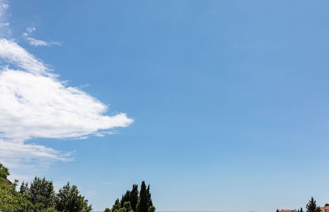 Apartments Franka - Studio With Terrace and Sea View - Photo 9