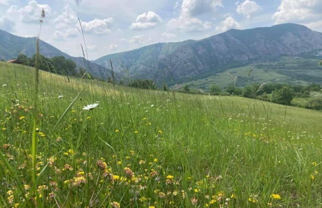 Azienda Agricola Saint Hubert - Foto 85