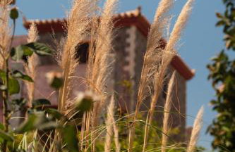 Angelina Aegina Boutique Escape - Foto 102