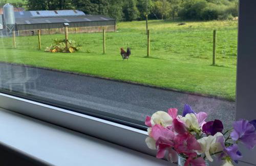 Betty's Farm Cottage - Foto 45