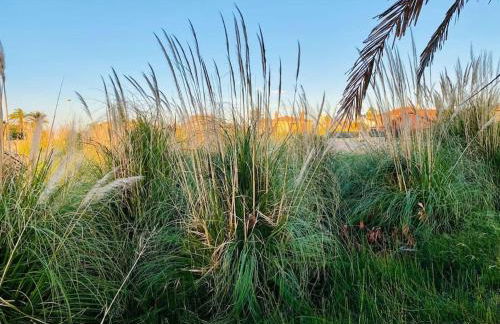 El Riuet-Chalet apartamento a 1 minuto de la playa, Cullera - Foto 33