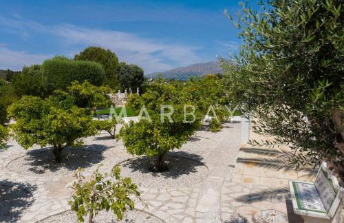 Ca Limonero - Foto 31