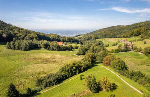 Schwarzwaldtraum Ferienwohnung - Foto 30