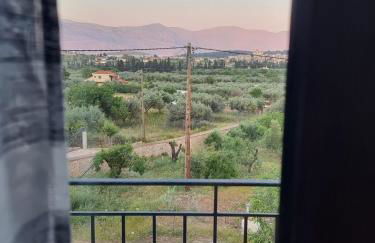 Villa Rodi - Foto 16