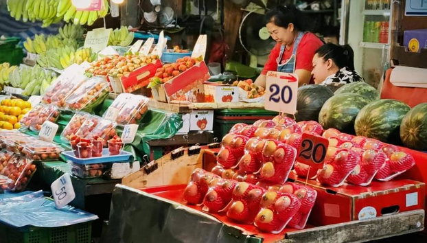 Explorando a Ilha de Samui com Elephant Care Camp, Plantação de Frutas e Cachoeiras - Foto 4