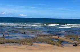 Paraíso á beira mar - Foto 1