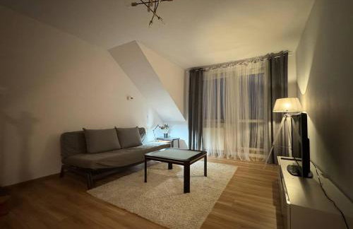 Szczecin Mierzyn Windmill - Foto 3