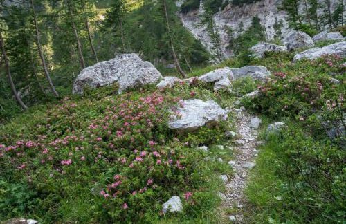 Baita dei Colori - Foto 15