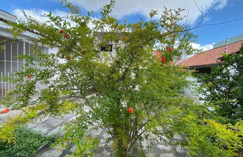Casa agradável e muito ampla em Campina Grande - Foto 37