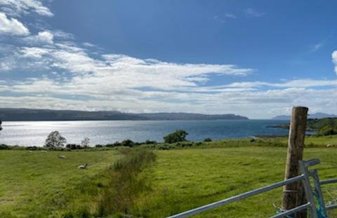 White Watch - Photo 19