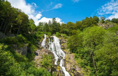 Schwarzwaldhaus Todtnau - Foto 80