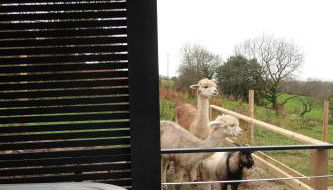 Galactic getaways MARS - Photo 2