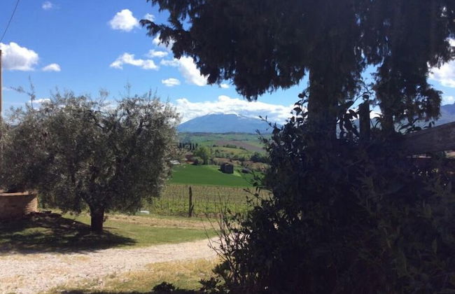 Agriturismo Terre Vineate - Foto 41