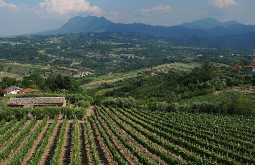 Feudo di Castelmozzo - Foto 17